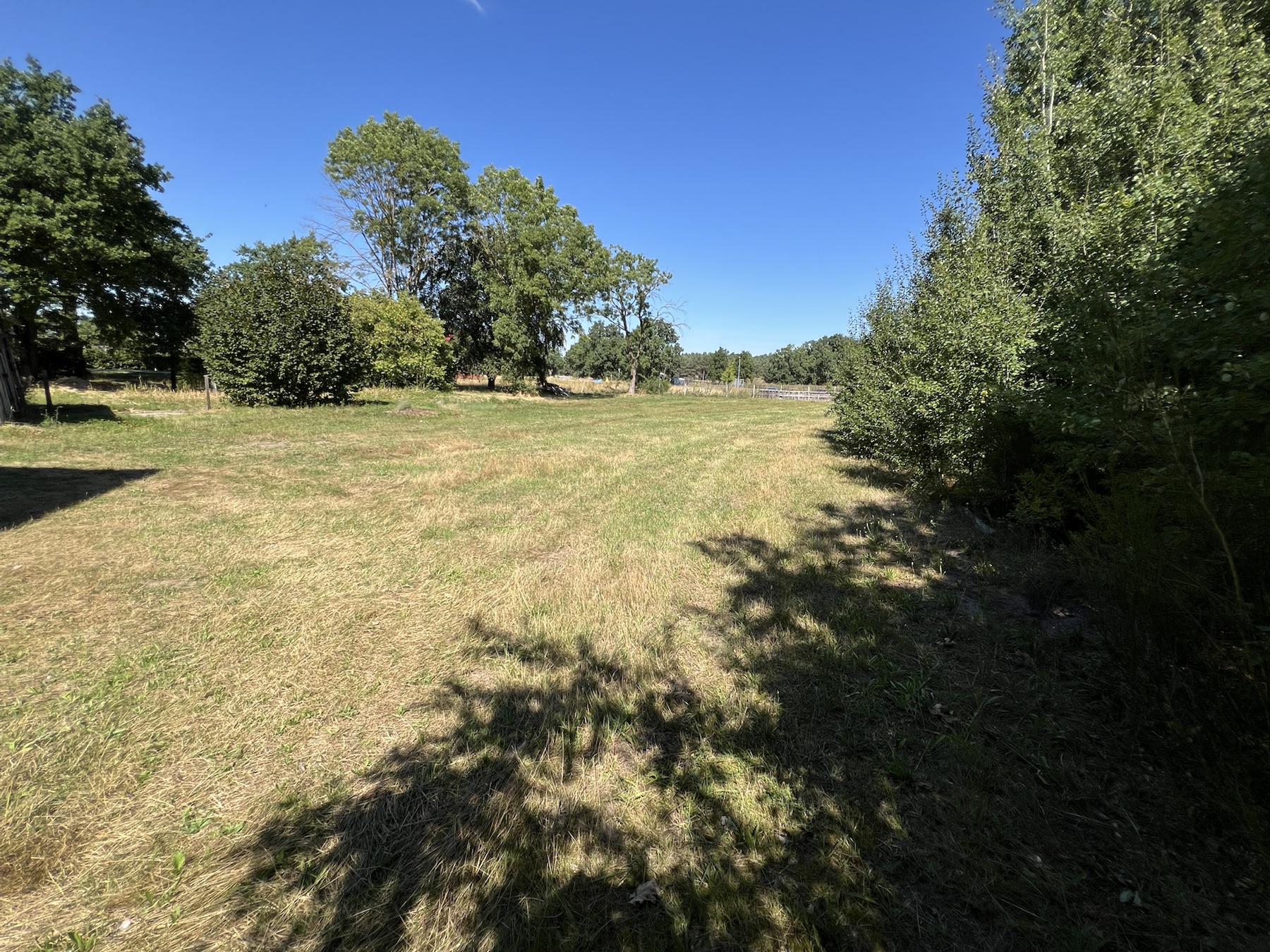 Eigene Wiese hinter dem Haus